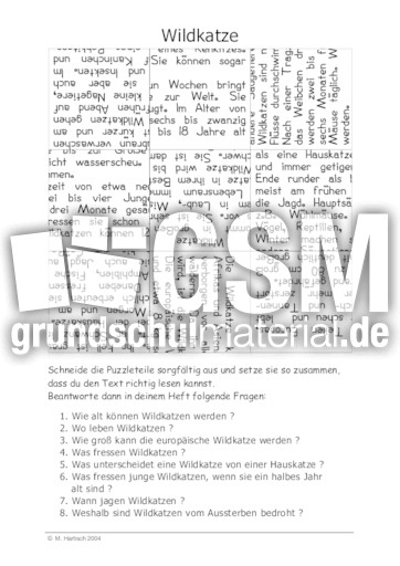 Wildkatze.pdf